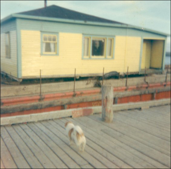 Stanley Keeping house, Garnish, on the barge that moved it from Point Rosie, Fortune Bay