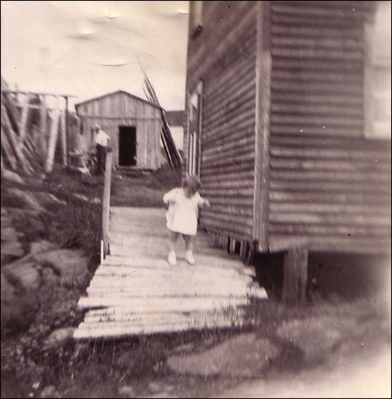 House and shed of Wilfred Budgell, (pictured) Joseph Budgell, Wild Cove