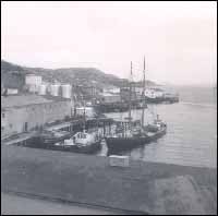 Vessels at Wareham's wharf, Harbour Buffett, Placentia Bay.