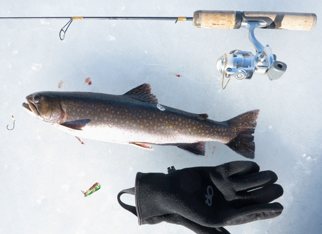 MudTrout-O-Rama in Newfoundland