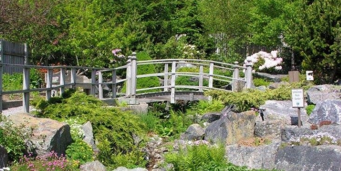 bridge in the rock garden