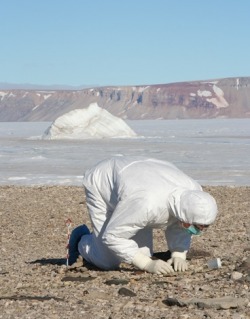 Researcher collecting ground samples in full personal protective equipment in northern Greenland