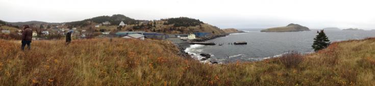 Coastal landscape of Tors Cove