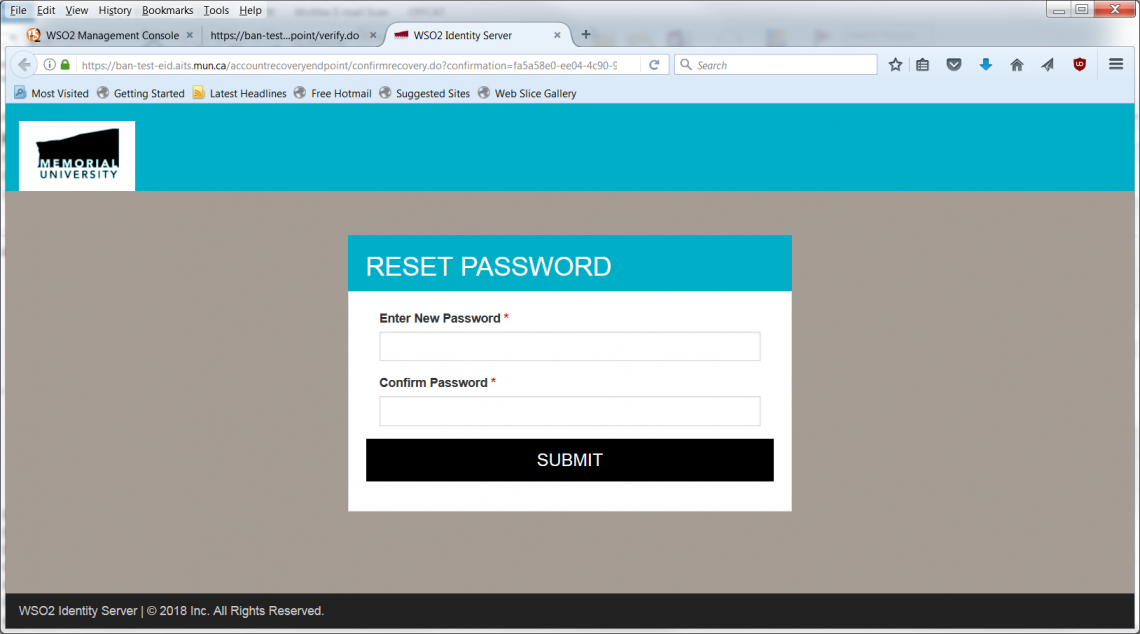 Reset Password Screen