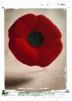 Remembrance Day Poppy