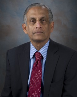 Ratnajothi Hoover-Professor
