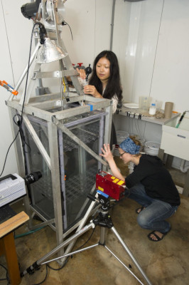 Picture of Dr. Jeanette Wheeler and a colleague working on her second favorite turbulence tank.