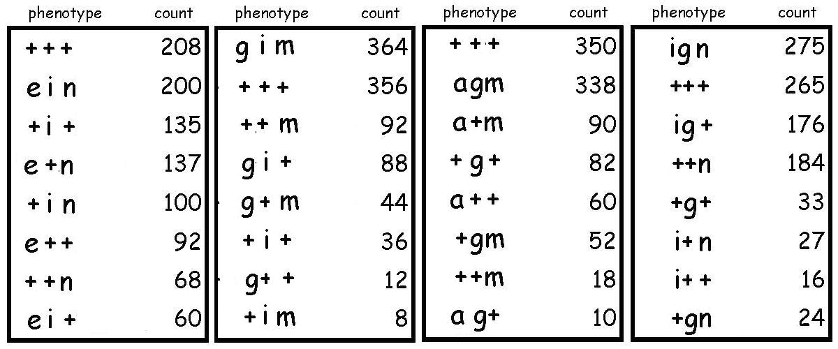 Trihybrid examples