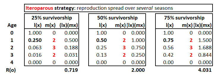 Iteroparous
        strategy