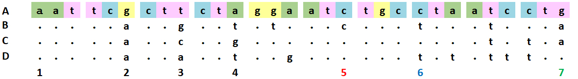 Maximum Parsimony with
        nucleotide data