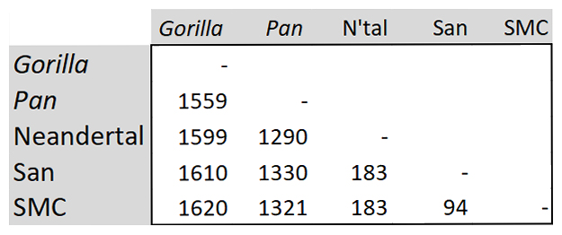 5x5
        Great Ape distances