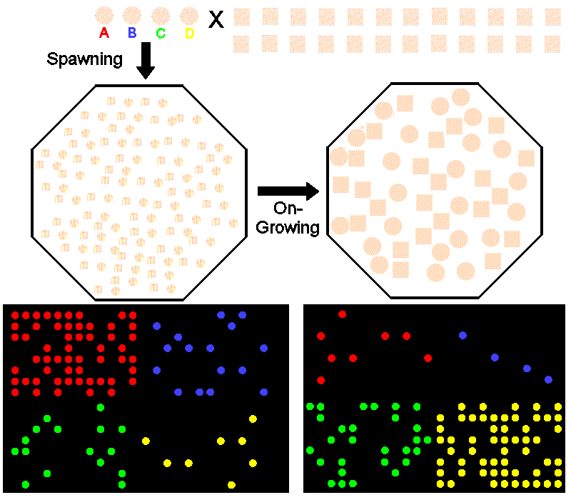 Differential cohort success