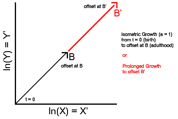 Delayed Offset