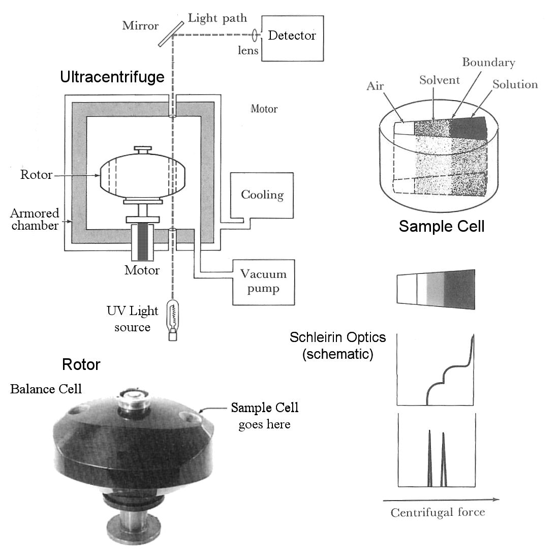 Analytical
Ultracentrifugation