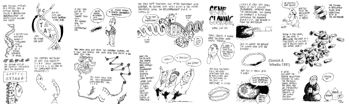 Cartoon Guide to Cloning