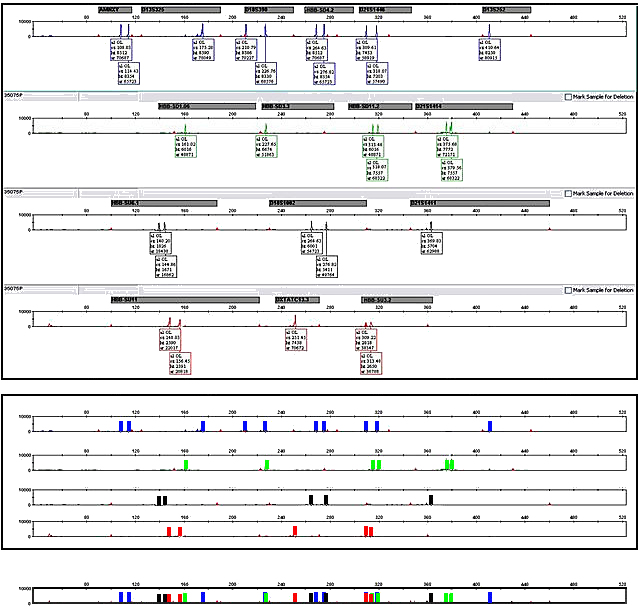 Multiplex capillary
            electrophoresis