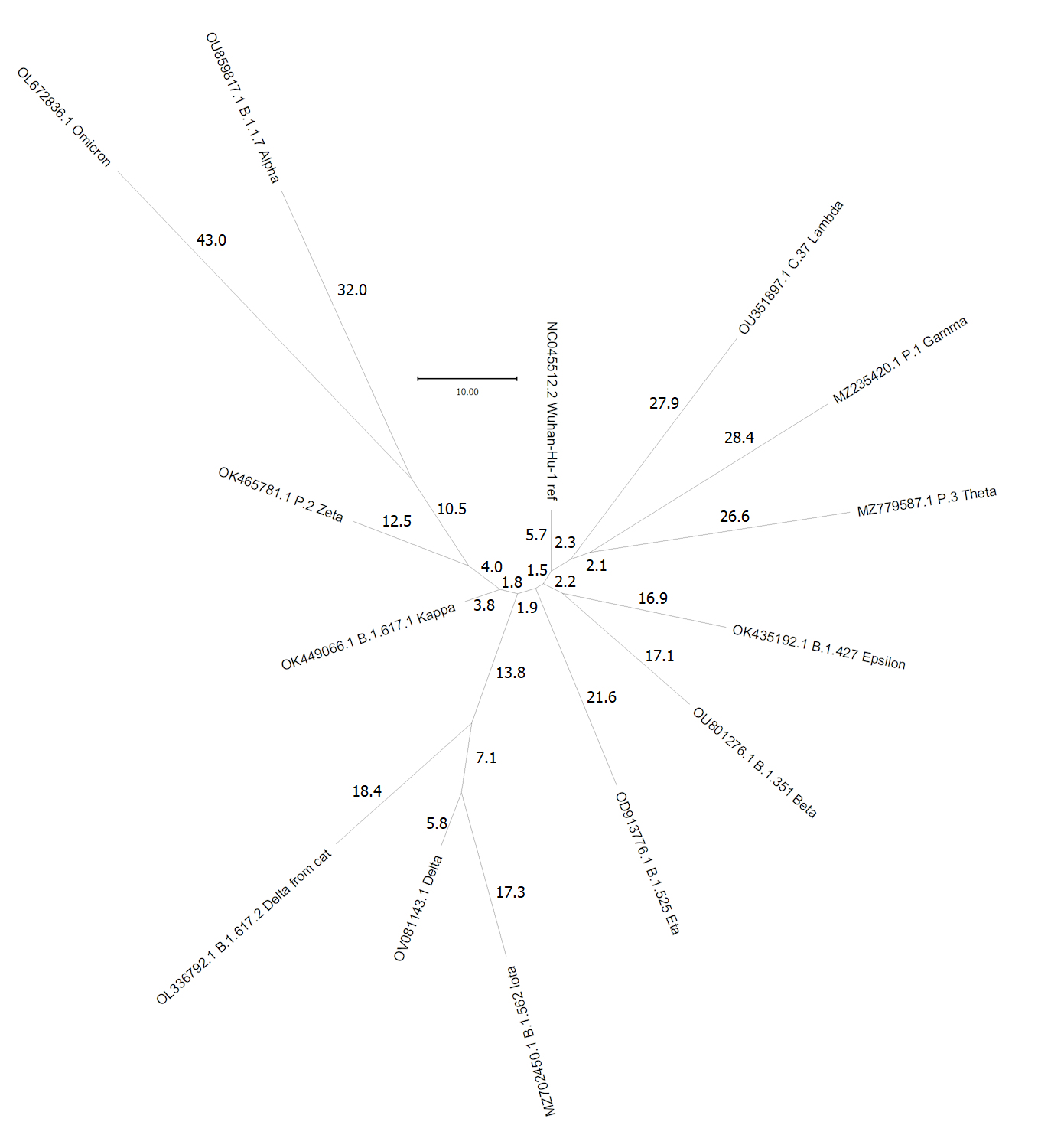 COVID-19 Variants