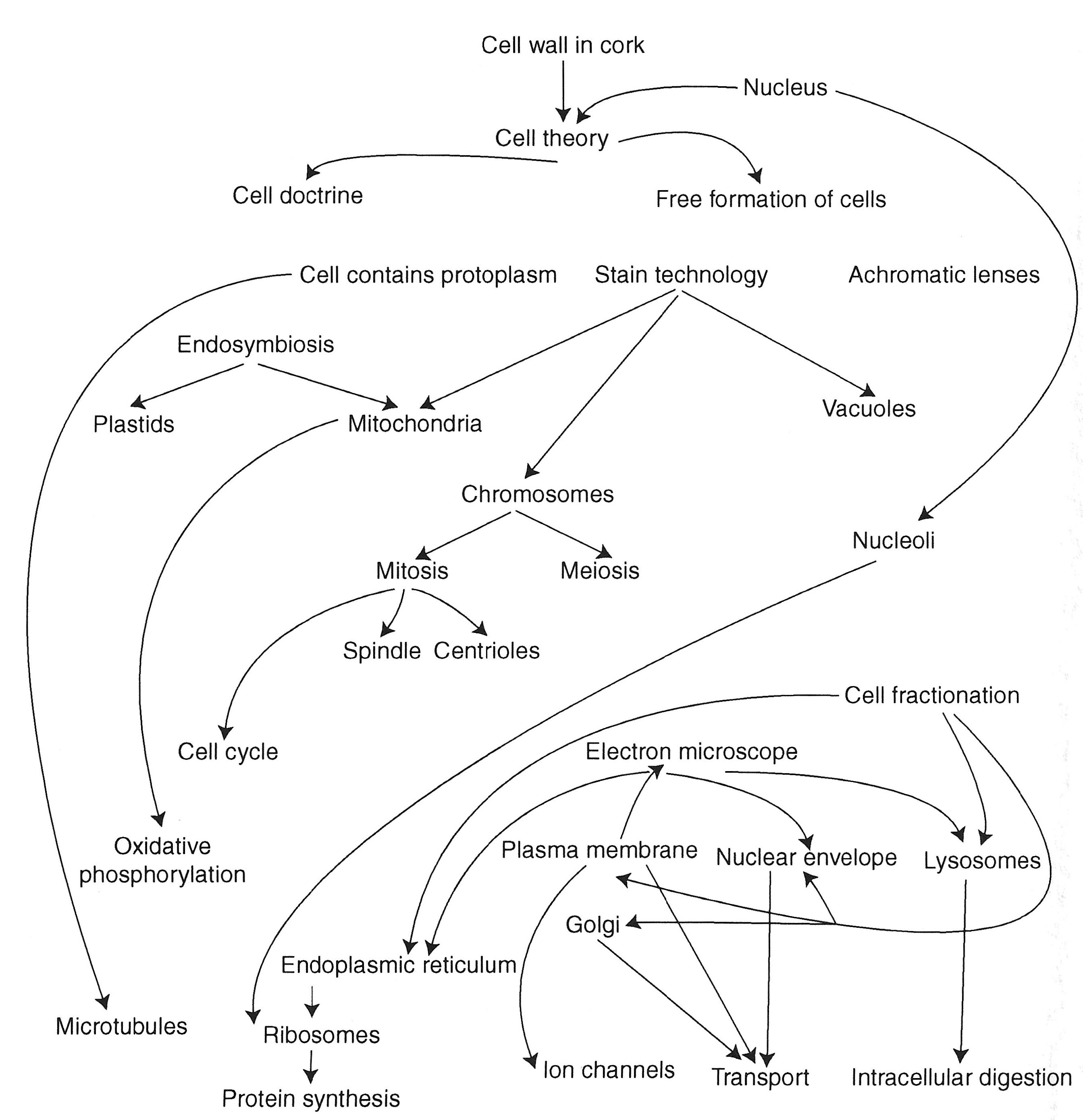 History of Cell Organelles