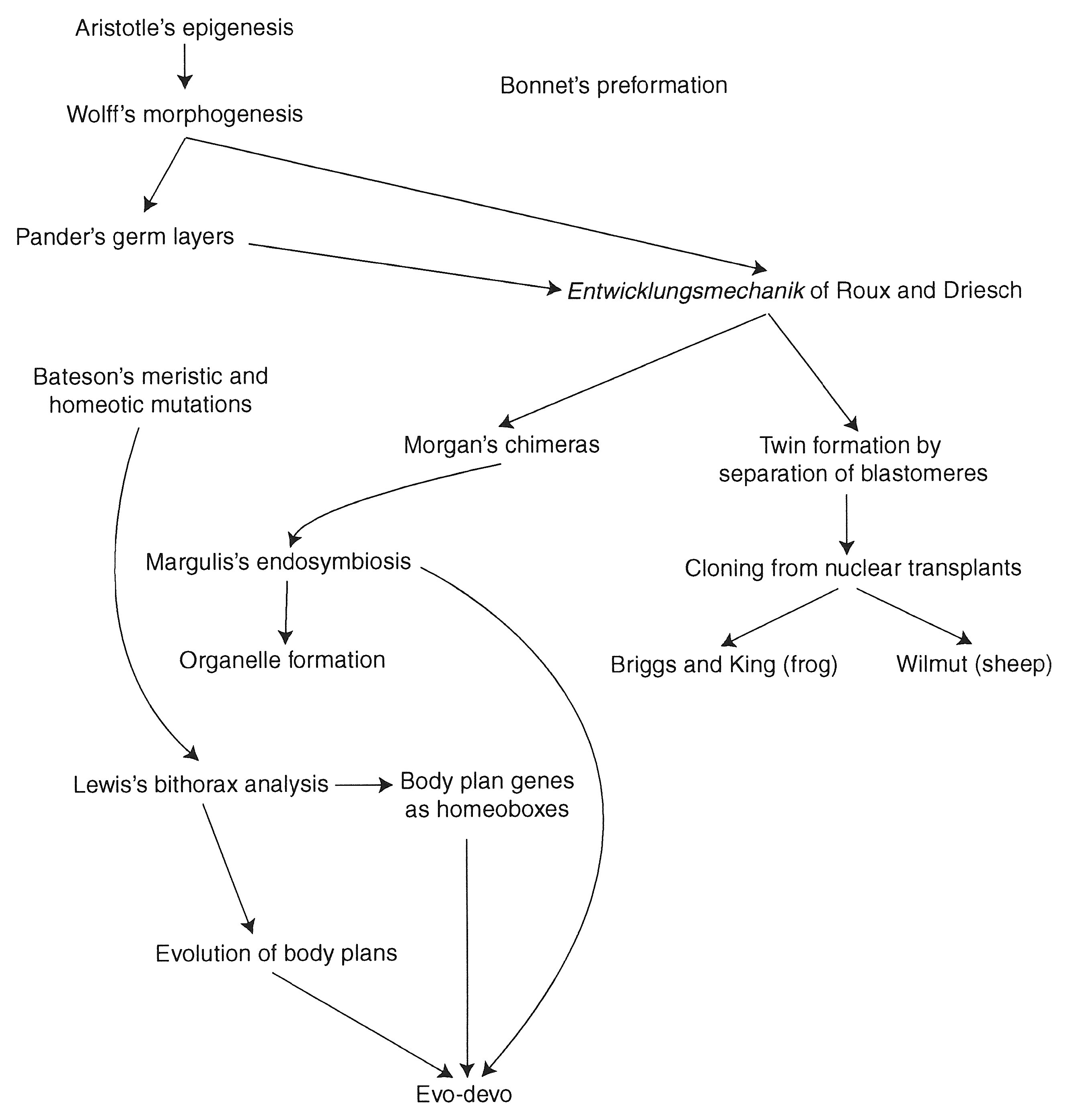 Origins
          of Embryology