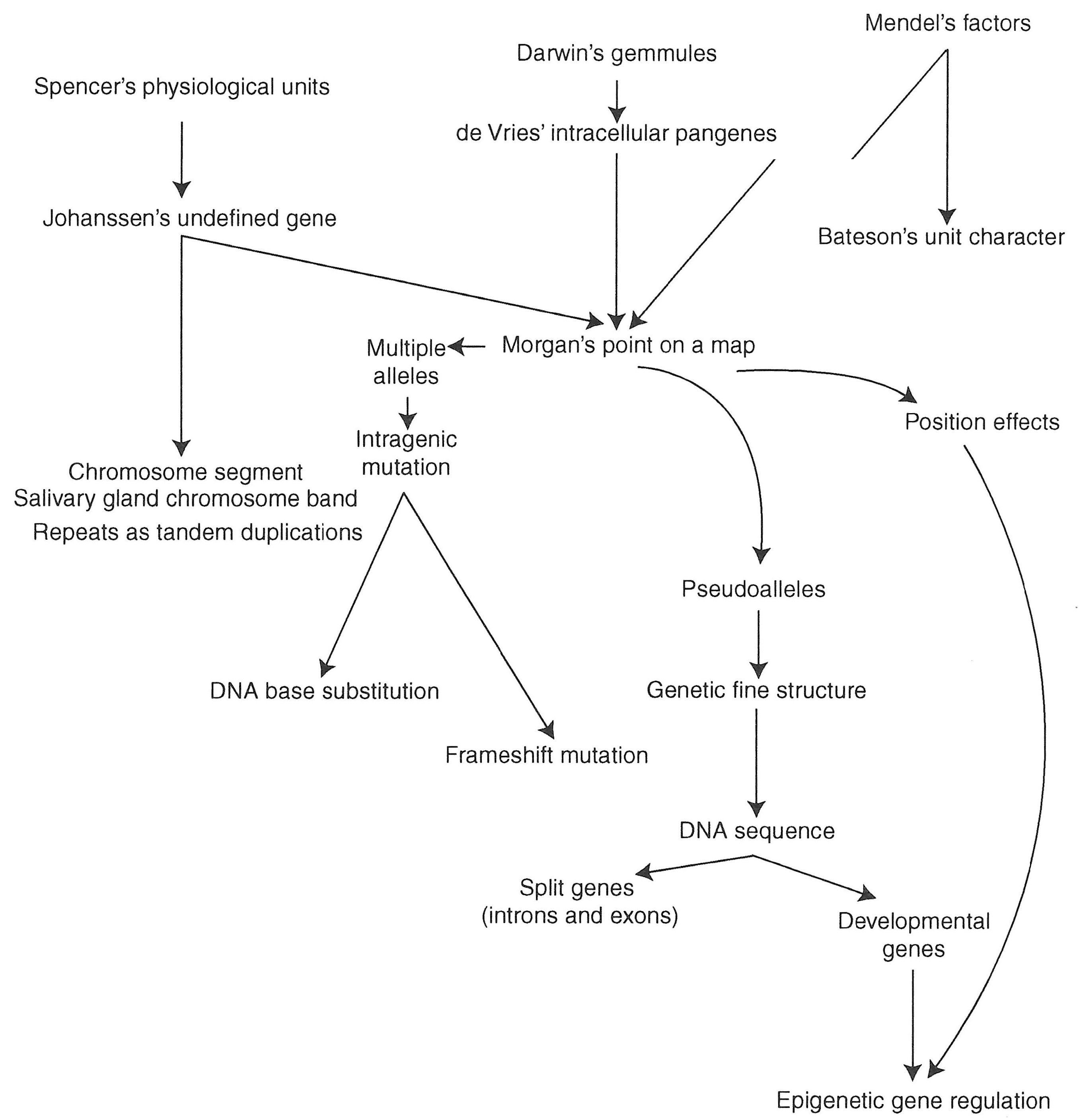 Origins
          of Genetics