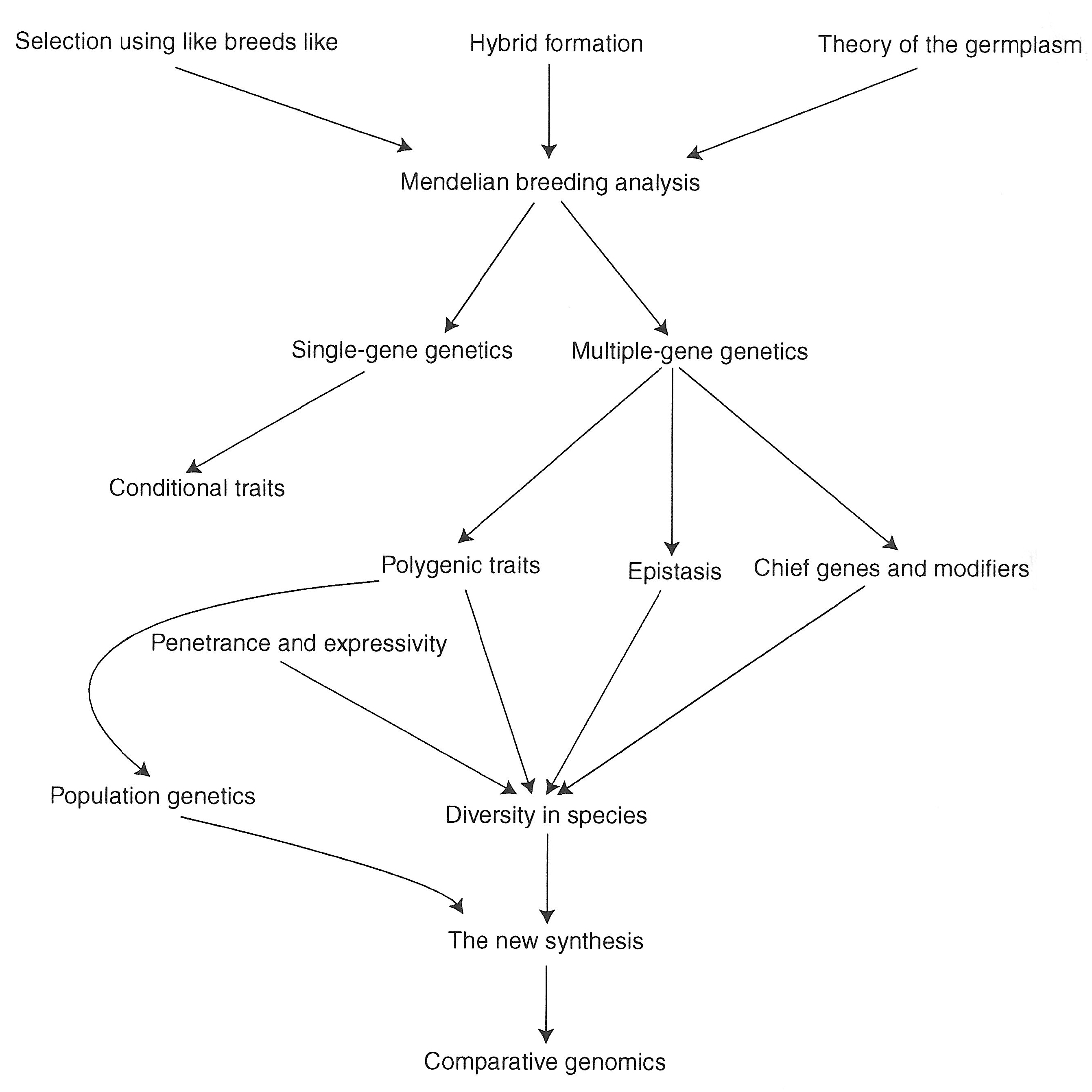 Genotypes
          & Phenotypes