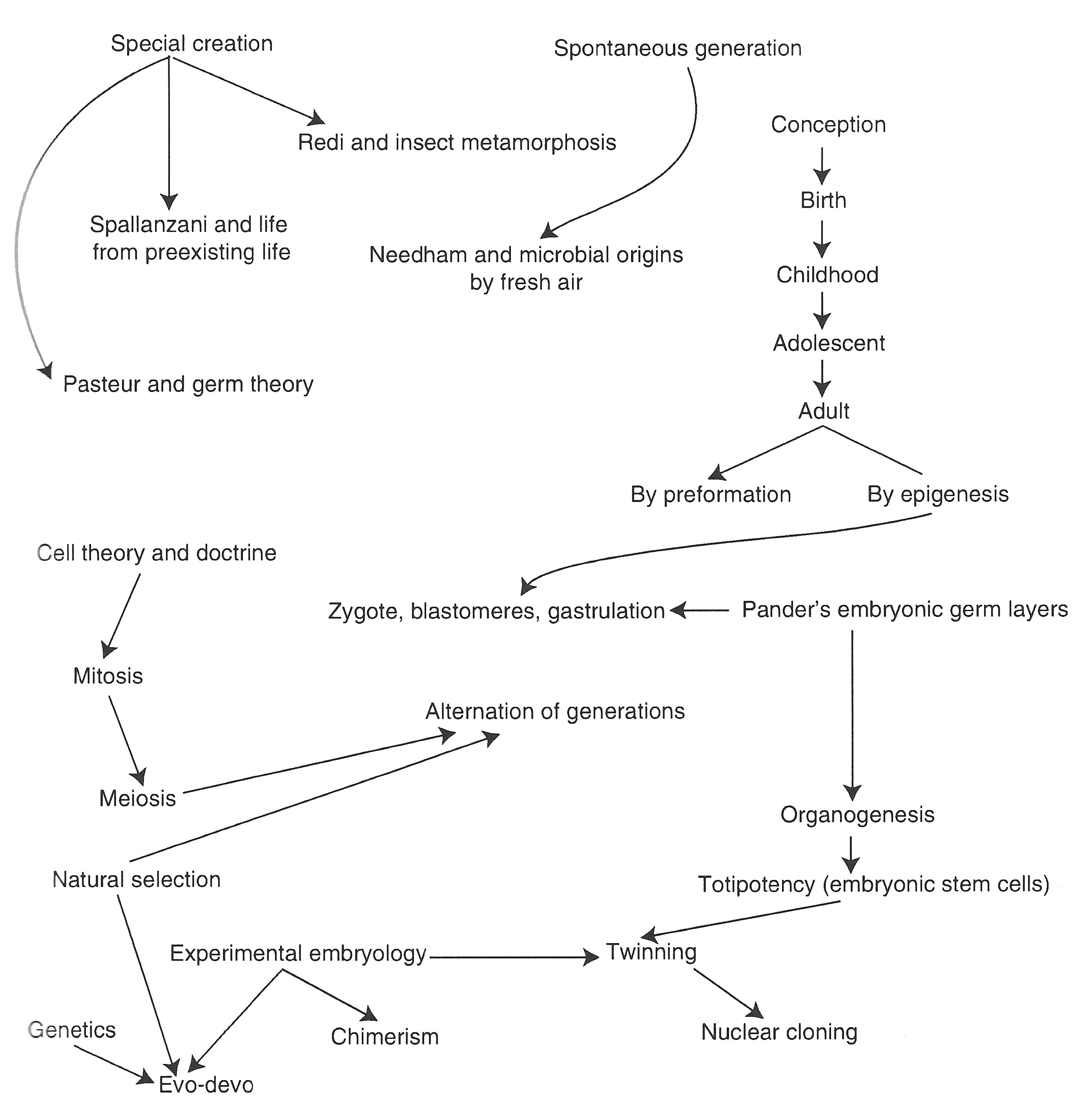 Life
          Cycles