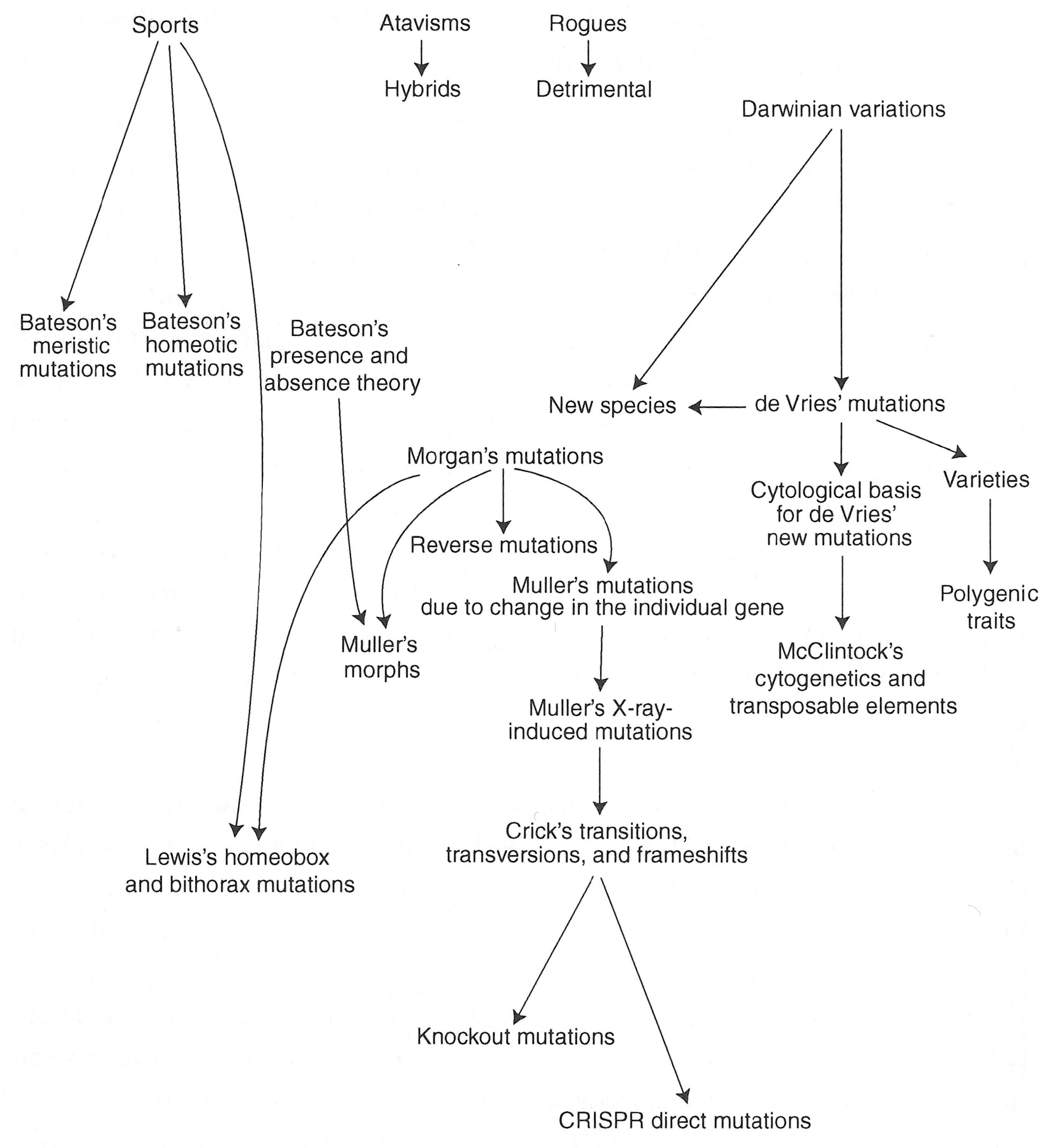 Origins
          of Mutation Theory