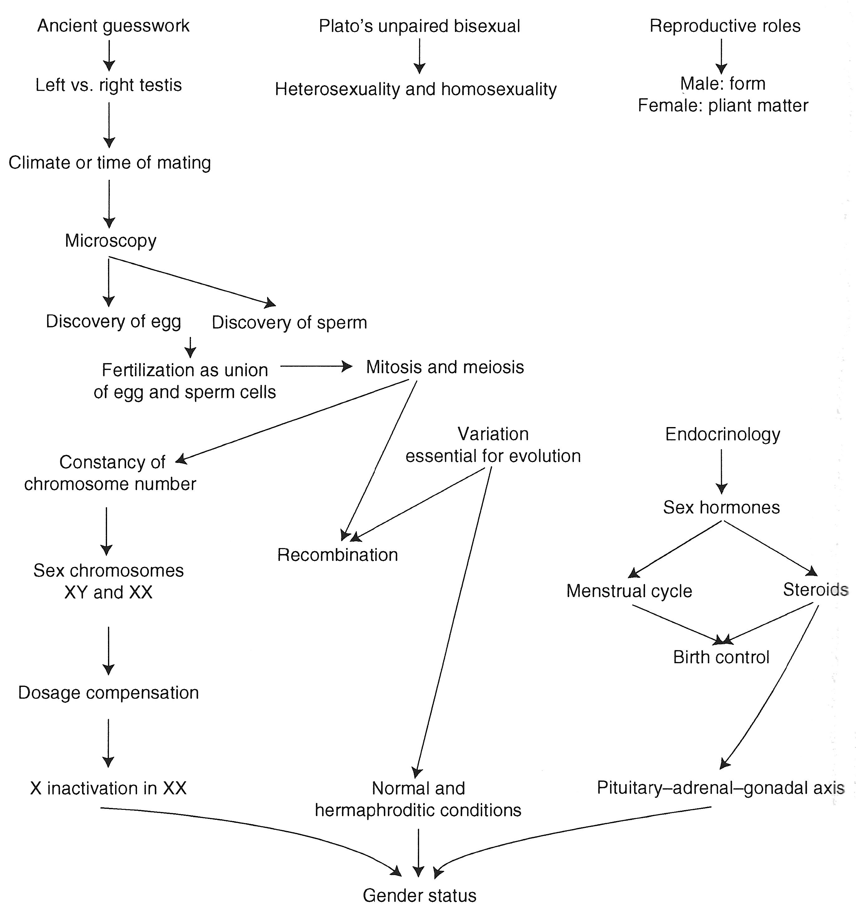 Origins Of Sex Determination