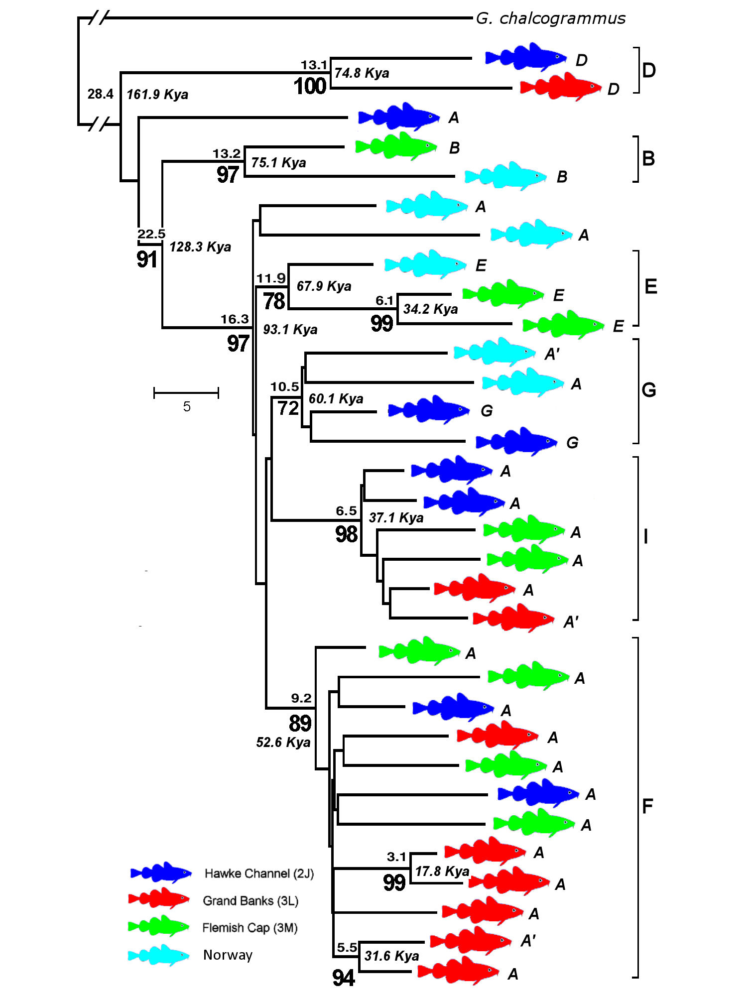 Carr & Marshall 2008, Fig 2