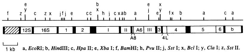 Carr et al 1987