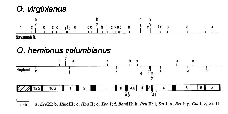 Carr et al 1986