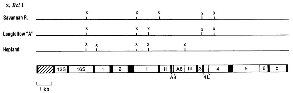 Carr et al 1986