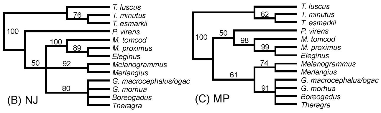 Carr et al. 1999