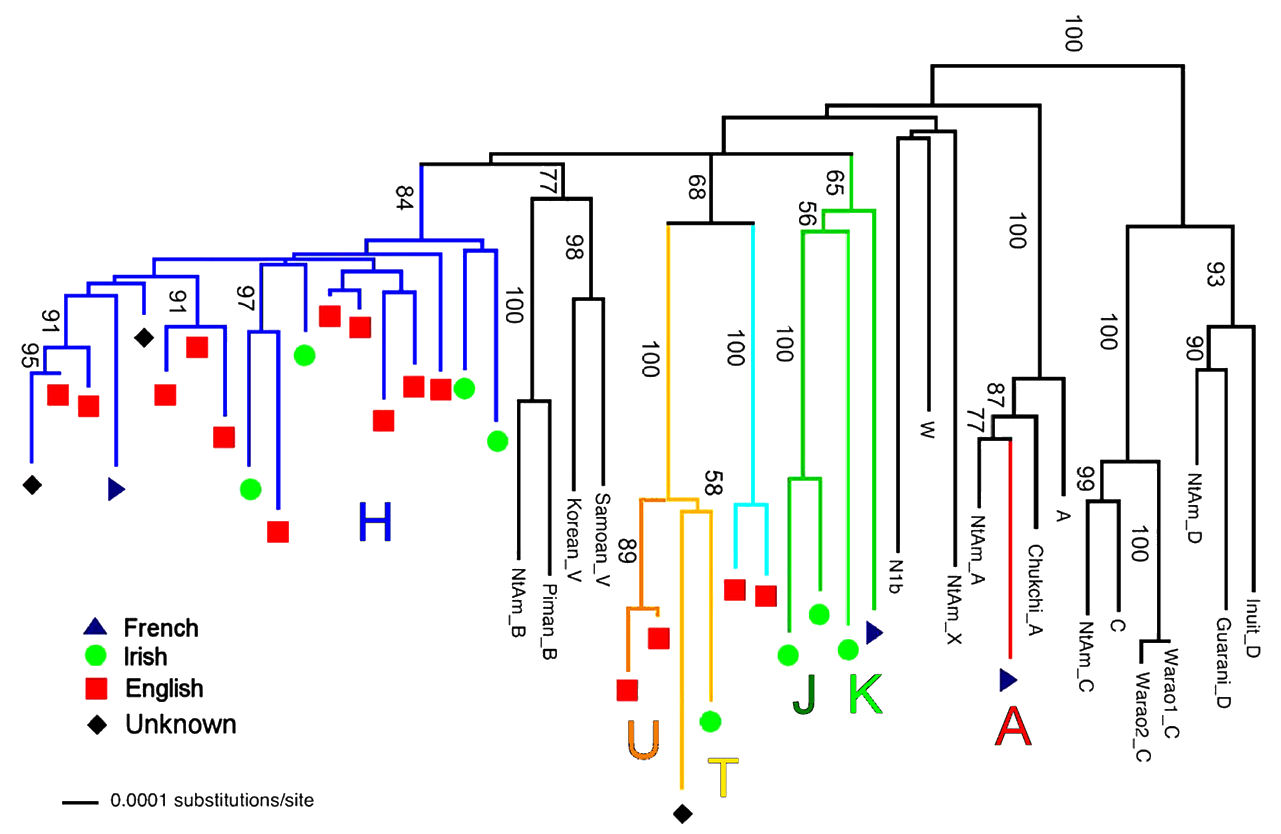 Carr et al 20008, Figure 1