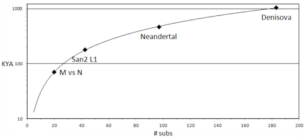 Hominid molecular
        clock
