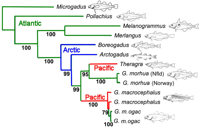 Coulson et al
        2006