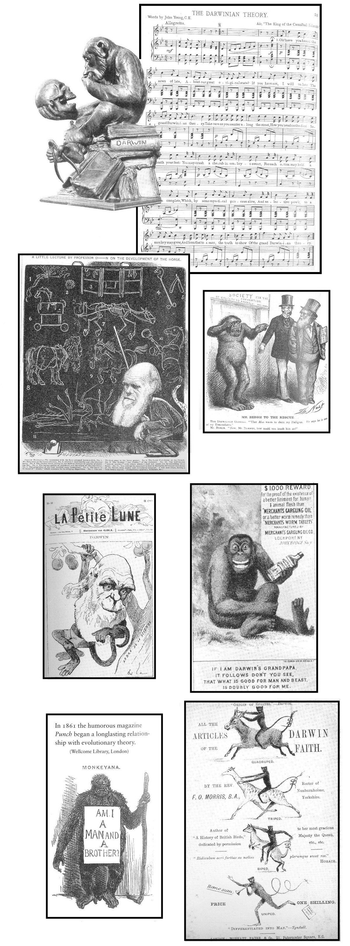 Darwin caricatures