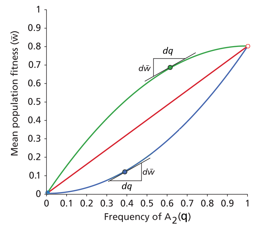 c04fig002.jpg