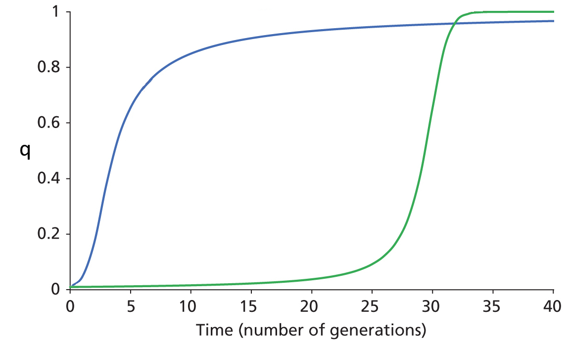Rare allele
        under positive selection
