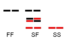 Electrophoresis_dimer.jpg