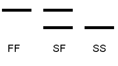 Electrophoresis_monomer.jpg