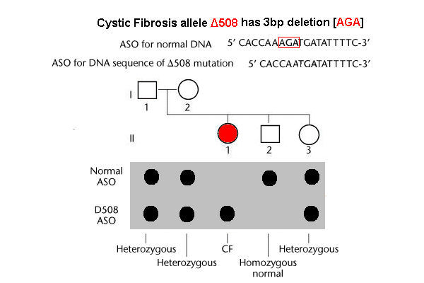 CF test w control