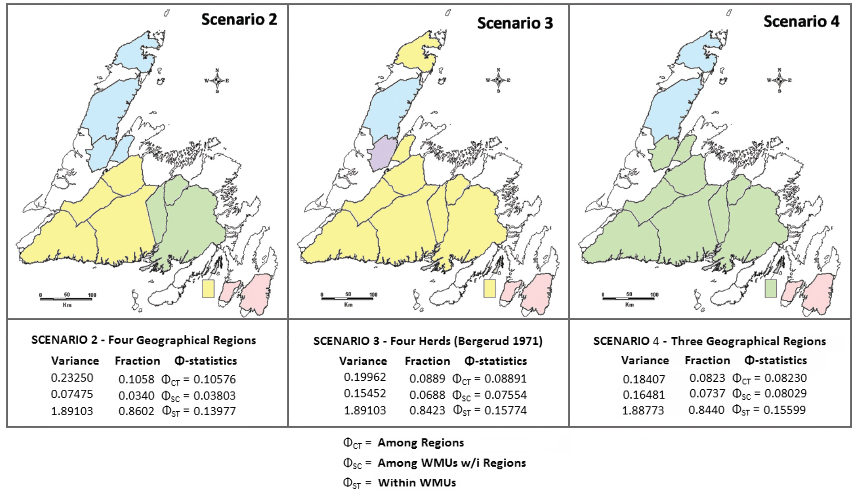 AMOVA of Caribou mtDNA