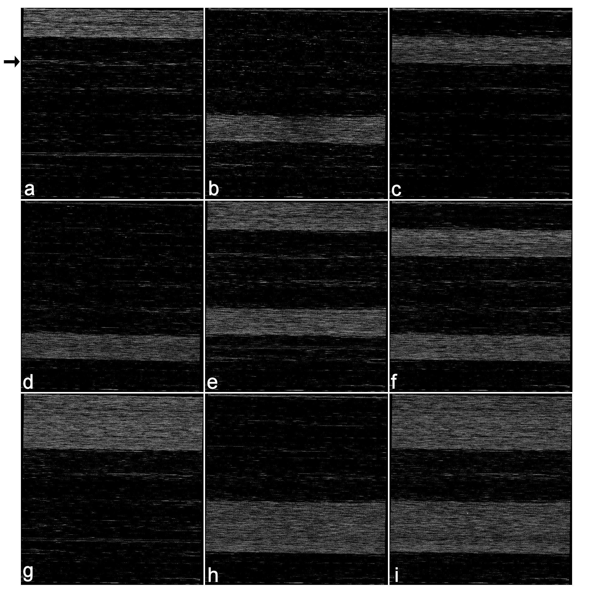 Carr et al 2007 CompBiochemPhysiol D