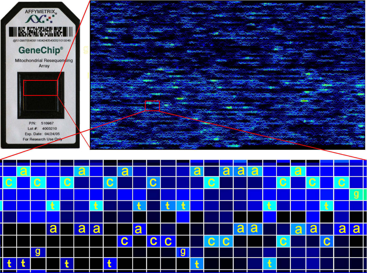 Fig 7 Carr et al. 2007