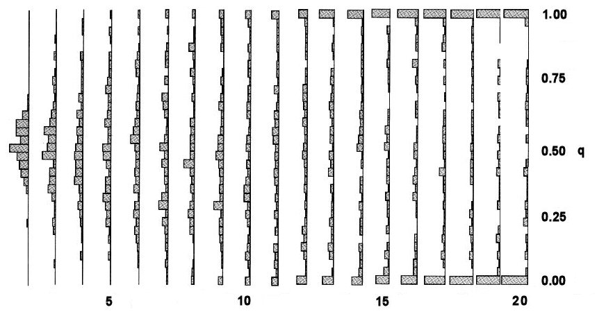 Genetic
Drift