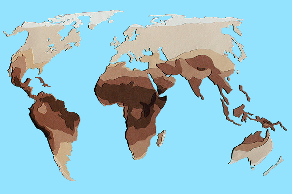 Human skin
        pigmentation