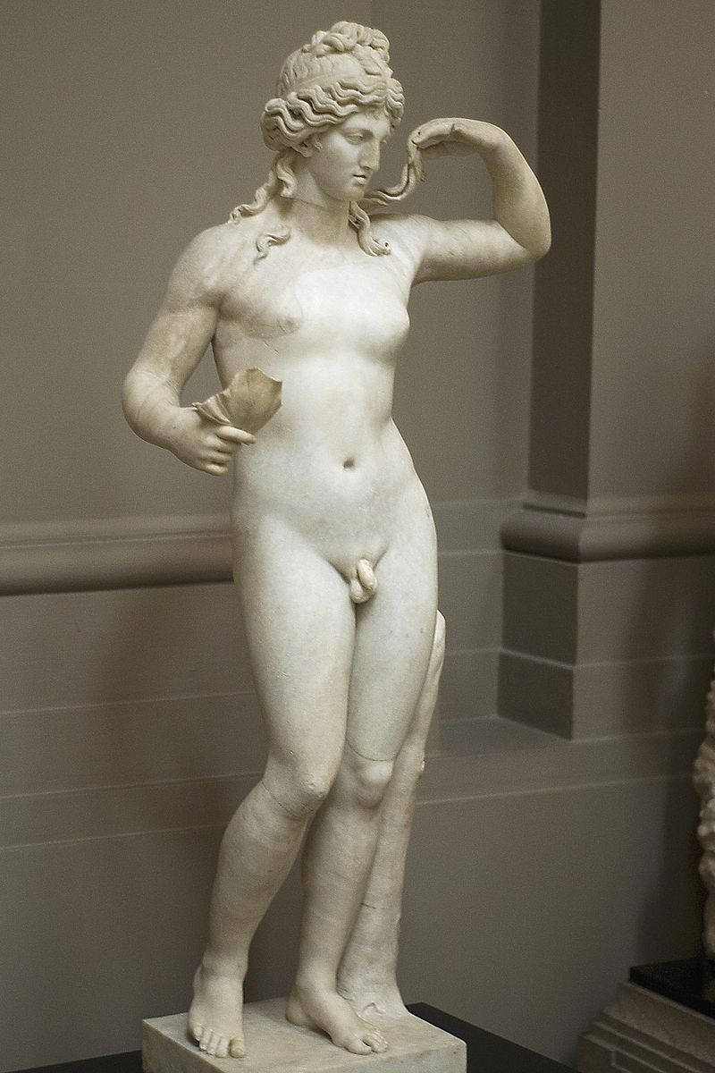 Hermaphroditus