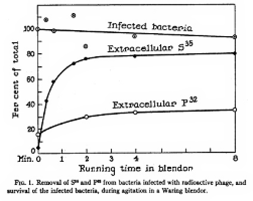 Hershey & Chase 1952 Fig 1