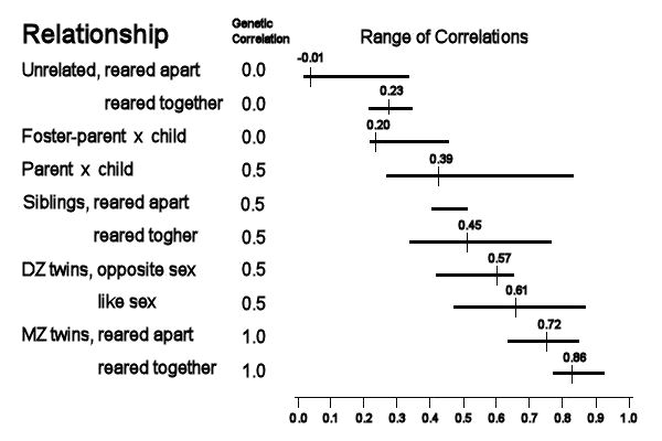 IQ_correlation_redrawn.jpg